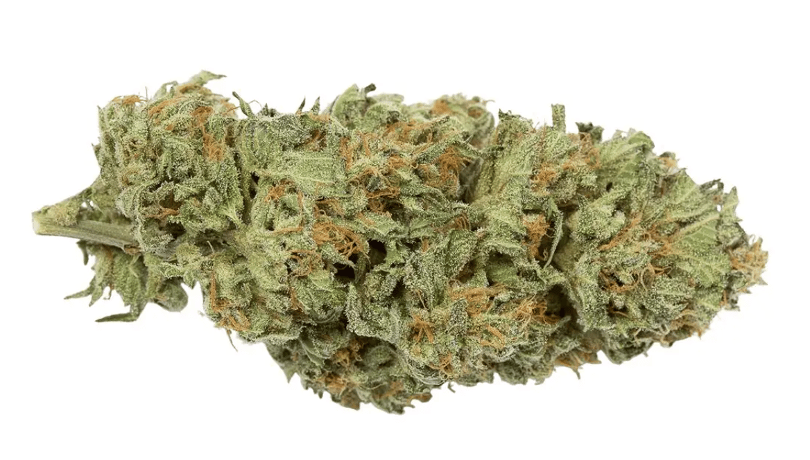 Demecan Typ 1 Bubba Kush